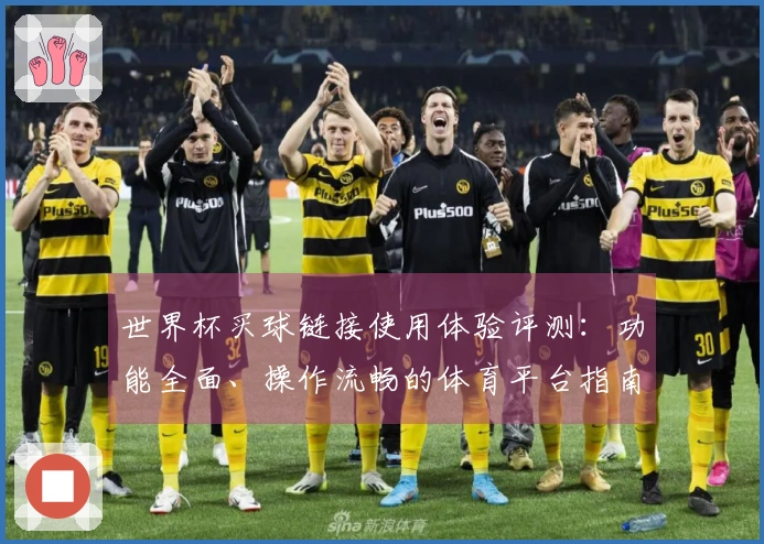 世界杯买球链接使用体验评测：功能全面、操作流畅的体育平台指南