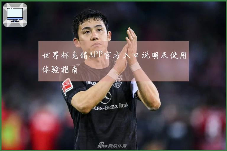 世界杯竞猜APP官方入口说明及使用体验指南