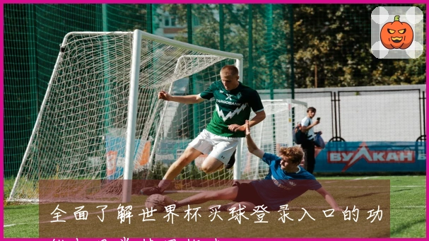 全面了解世界杯买球登录入口的功能与日常使用指南