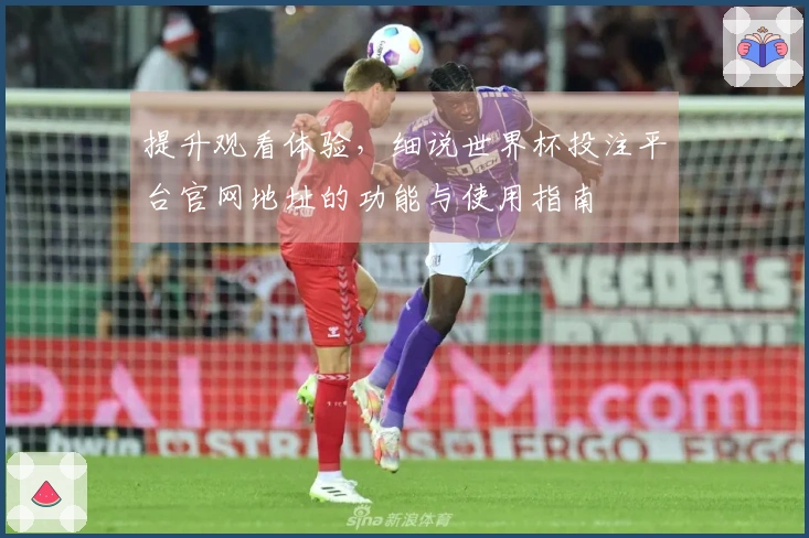 提升观看体验，细说世界杯投注平台官网地址的功能与使用指南