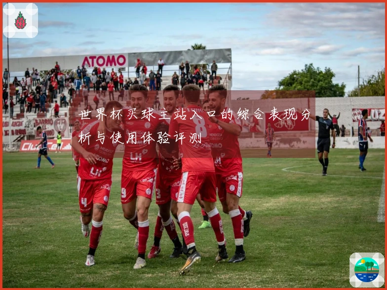 世界杯买球主站入口的综合表现分析与使用体验评测