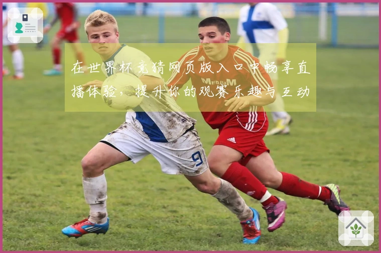 在世界杯竞猜网页版入口中畅享直播体验，提升你的观赛乐趣与互动感