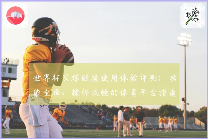 世界杯买球链接使用体验评测：功能全面、操作流畅的体育平台指南