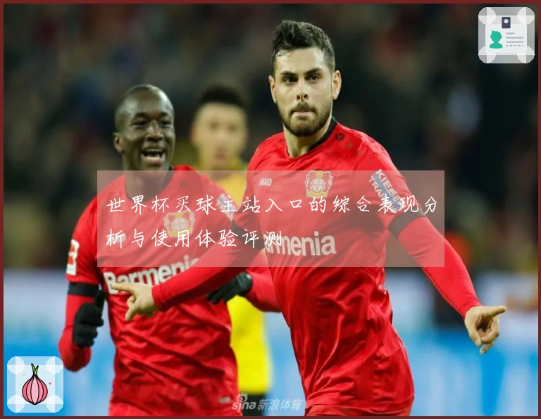 世界杯买球主站入口的综合表现分析与使用体验评测