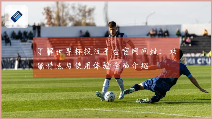 了解世界杯投注平台官网网址：功能特点与使用体验全面介绍