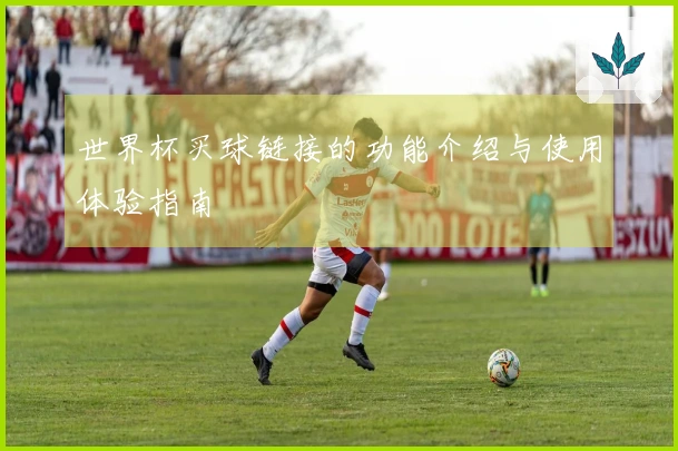 世界杯买球链接的功能介绍与使用体验指南