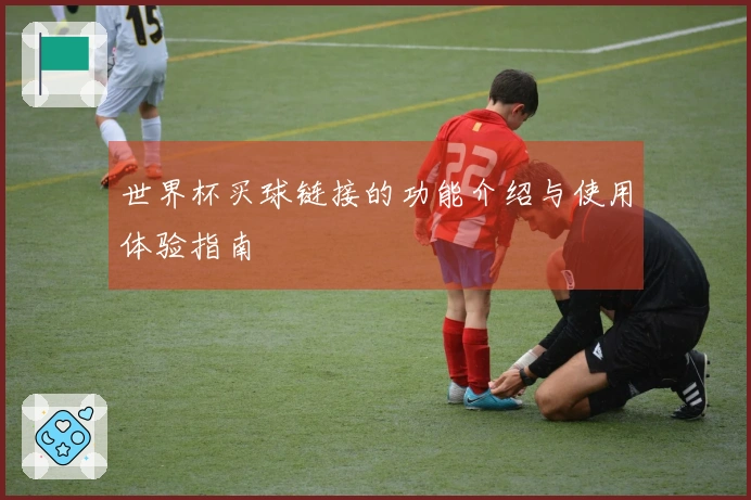 世界杯买球链接的功能介绍与使用体验指南